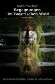 Begegnungen im Bayerischen Wald (eBook, ePUB)