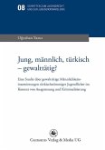 Jung, männlich, türkisch - gewalttätig? (eBook, PDF)