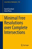 Minimal Free Resolutions over Complete Intersections (eBook, PDF)