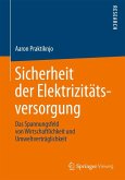 Sicherheit der Elektrizitätsversorgung (eBook, PDF)