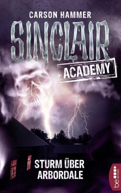 Sturm über Arbordale / Sinclair Academy Bd.4 (eBook, ePUB) - Hammer, Carson