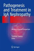 Pathogenesis and Treatment in IgA Nephropathy (eBook, PDF)