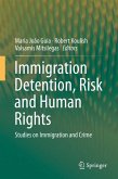 Immigration Detention, Risk and Human Rights (eBook, PDF)