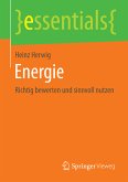 Energie (eBook, PDF)