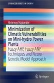 Minimization of Climatic Vulnerabilities on Mini-hydro Power Plants (eBook, PDF)