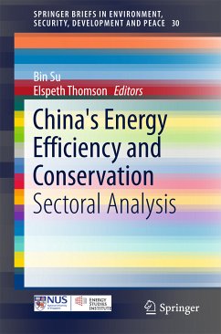 China's Energy Efficiency and Conservation (eBook, PDF)