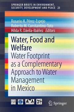 Water, Food and Welfare (eBook, PDF)