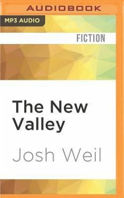 The New Valley - Weil, Josh