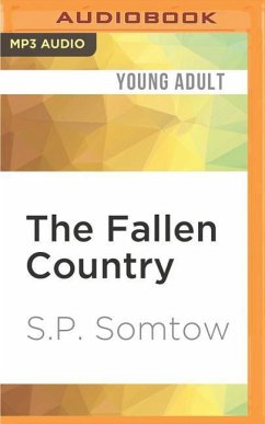 The Fallen Country - Somtow, S. P.