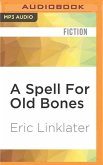 A Spell for Old Bones