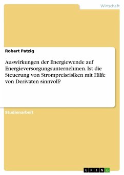 Auswirkungen der Energiewende auf Energieversorgungsunternehmen. Ist die Steuerung von Strompreisrisiken mit Hilfe von Derivaten sinnvoll? - Patzig, Robert