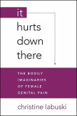 It Hurts Down There: The Bodily Imaginaries of Female Genital Pain