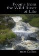 Poems from the Wild River of Life - Bild 1