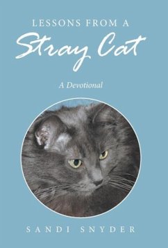 Lessons from a Stray Cat