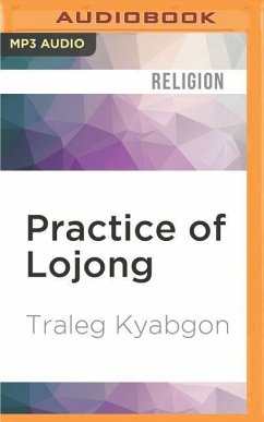 Practice of Lojong - Kyabgon, Traleg