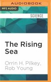 The Rising Sea