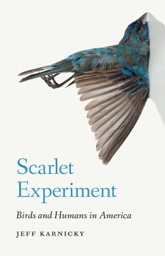 Scarlet Experiment - Karnicky, Jeff