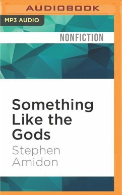 Something Like the Gods - Amidon, Stephen