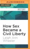 How Sex Became a Civil Liberty