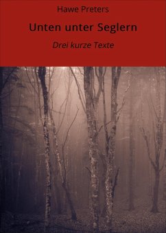 Unten unter Seglern (eBook, ePUB) - Preters, Hawe