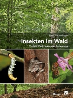 Insekten im Wald - Wermelinger, Beat