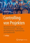 Controlling von Projekten (eBook, PDF)