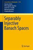 Separably Injective Banach Spaces (eBook, PDF)