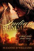 Indian Summer (eBook, ePUB)