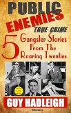 Public Enemies: 5 True Crime Gangster Stories from the Roaring Twenties (eBook, ePUB)