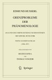 Grenzprobleme der Phänomenologie (eBook, PDF)