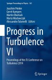 Progress in Turbulence VI (eBook, PDF)