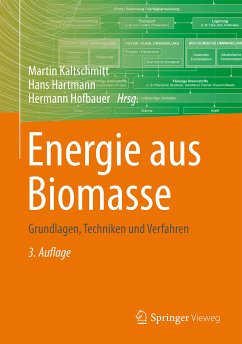 Energie aus Biomasse (eBook, PDF)