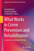 What Works in Crime Prevention and Rehabilitation (eBook, PDF)
