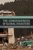 The Consequences of Global Disasters (eBook, ePUB)