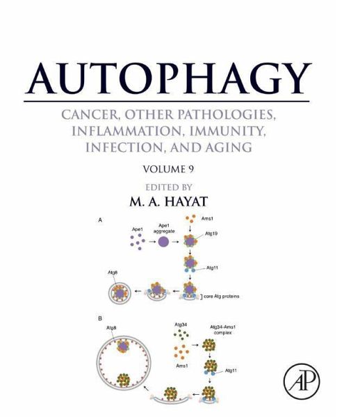Autophagy: Cancer, Other Pathologies, Inflammation, Immunity, Infection, and Aging (eBook, ePUB) Autophagy: Cancer, Other Pathologies, Inflammation, Immunity, Infection, and Aging (eBook, ePUB)