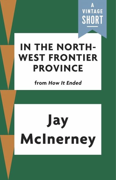 In the North-West Frontier Province (eBook, ePUB) In the North-West Frontier Province (eBook, ePUB)