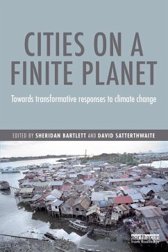 Cities on a Finite Planet (eBook, ePUB)