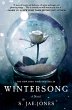 Wintersong (eBook, ePUB) - Bild 1