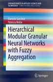 Hierarchical Modular Granular Neural Networks with Fuzzy Aggregation (eBook, PDF)