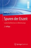 Spuren der Eiszeit (eBook, PDF)