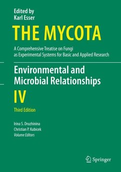 Environmental and Microbial Relationships (eBook, PDF)