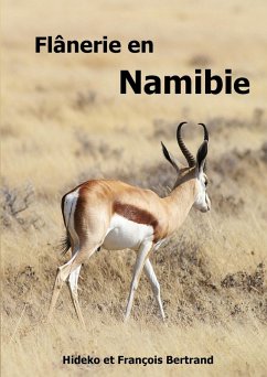 Flânerie en Namibie (eBook, ePUB)