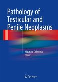 Pathology of Testicular and Penile Neoplasms (eBook, PDF)