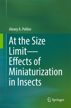 At the Size Limit - Effects of Miniaturization in Insects - Polilov, Alexey A.