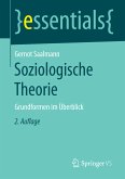 Soziologische Theorie (eBook, PDF)