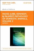 Jubb, Kennedy & Palmer's Pathology of Domestic Animals: Volume 2 (eBook, ePUB)