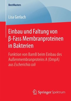 Einbau und Faltung von ß-Fass Membranproteinen in Bakterien (eBook, PDF) - Gerlach, Lisa
