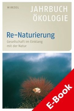 Re-Naturierung (eBook, PDF)