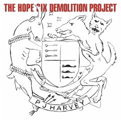 The Hope Six Demolition Project - Harvey,Pj