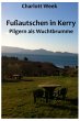 Fußautschen in Kerry (eBook, ePUB) - Bild 1